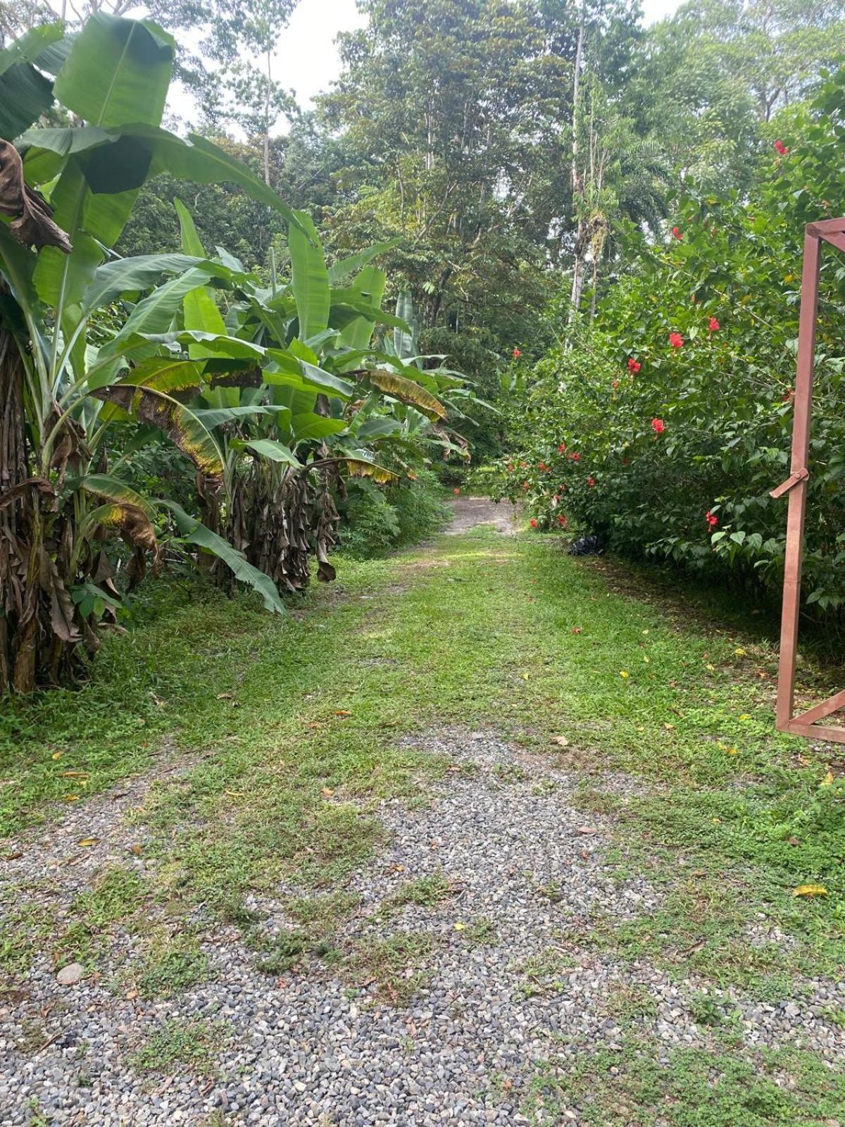 Caribbean Retreats Villa Cocles Exterior photo