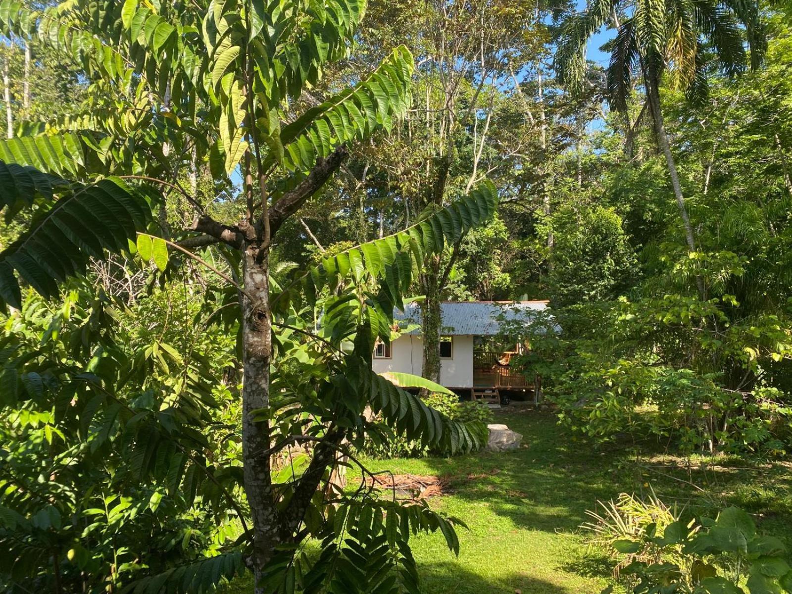 Caribbean Retreats Villa Cocles Exterior photo