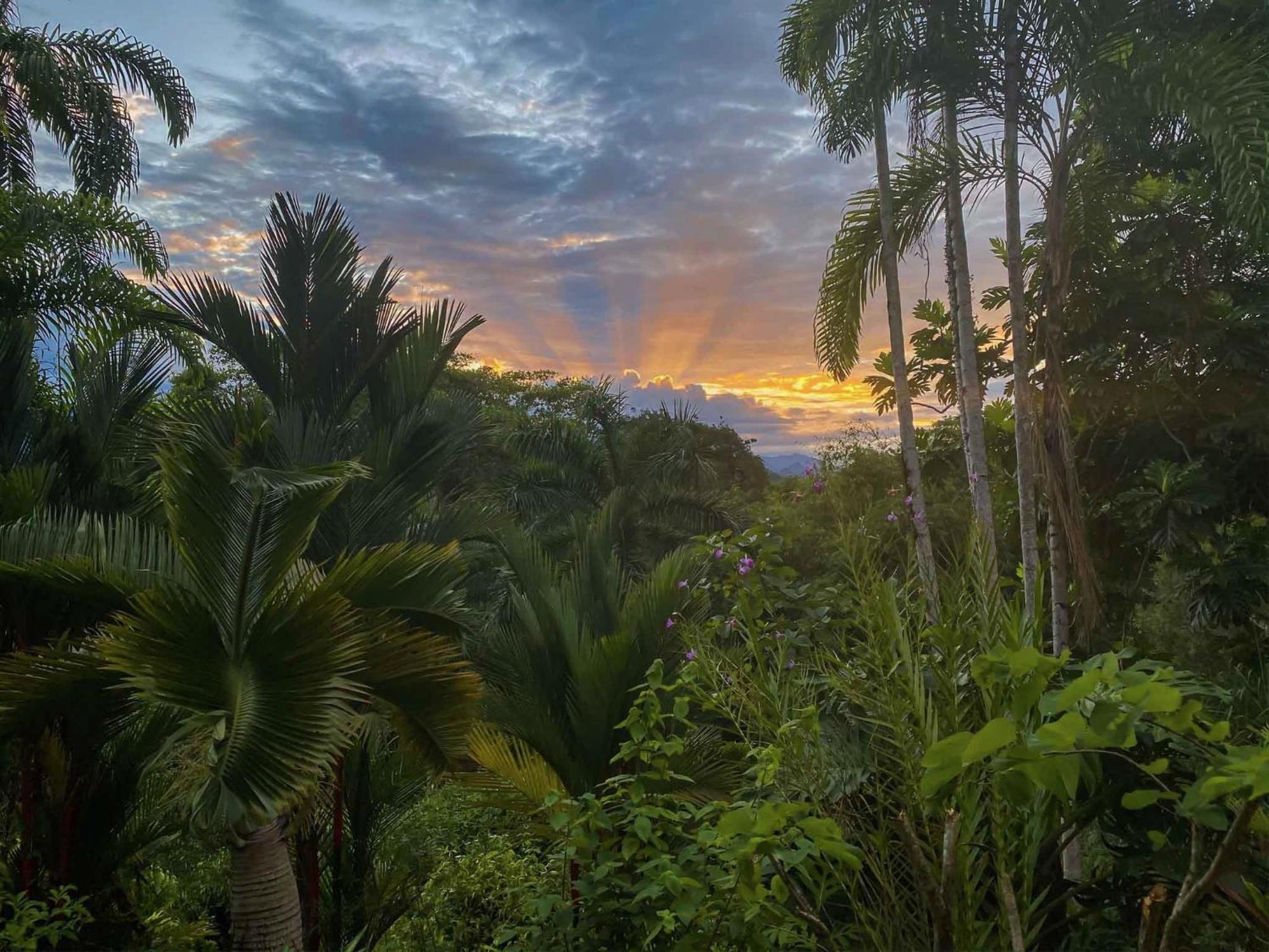 Caribbean Retreats Villa Cocles Exterior photo